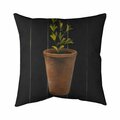 Fondo 20 x 20 in. Plant of Marjolaine-Double Sided Print Indoor Pillow FO2796898